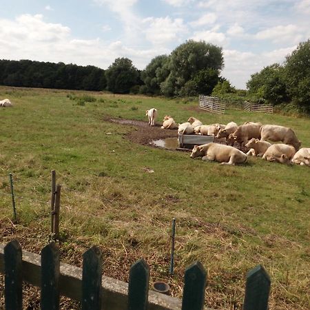 The Elms Bed and Breakfast East Harling Buitenkant foto