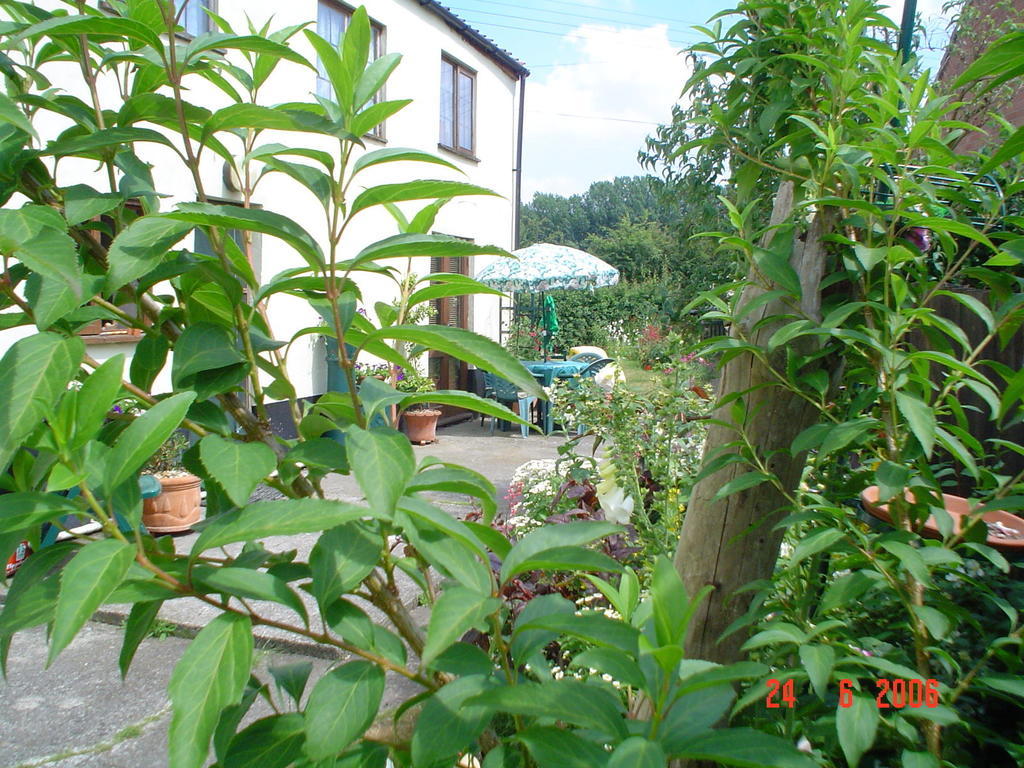 The Elms Bed and Breakfast East Harling Buitenkant foto