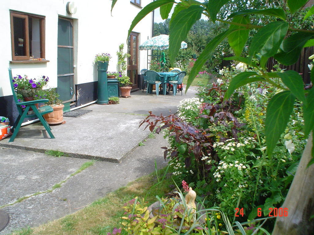 The Elms Bed and Breakfast East Harling Buitenkant foto